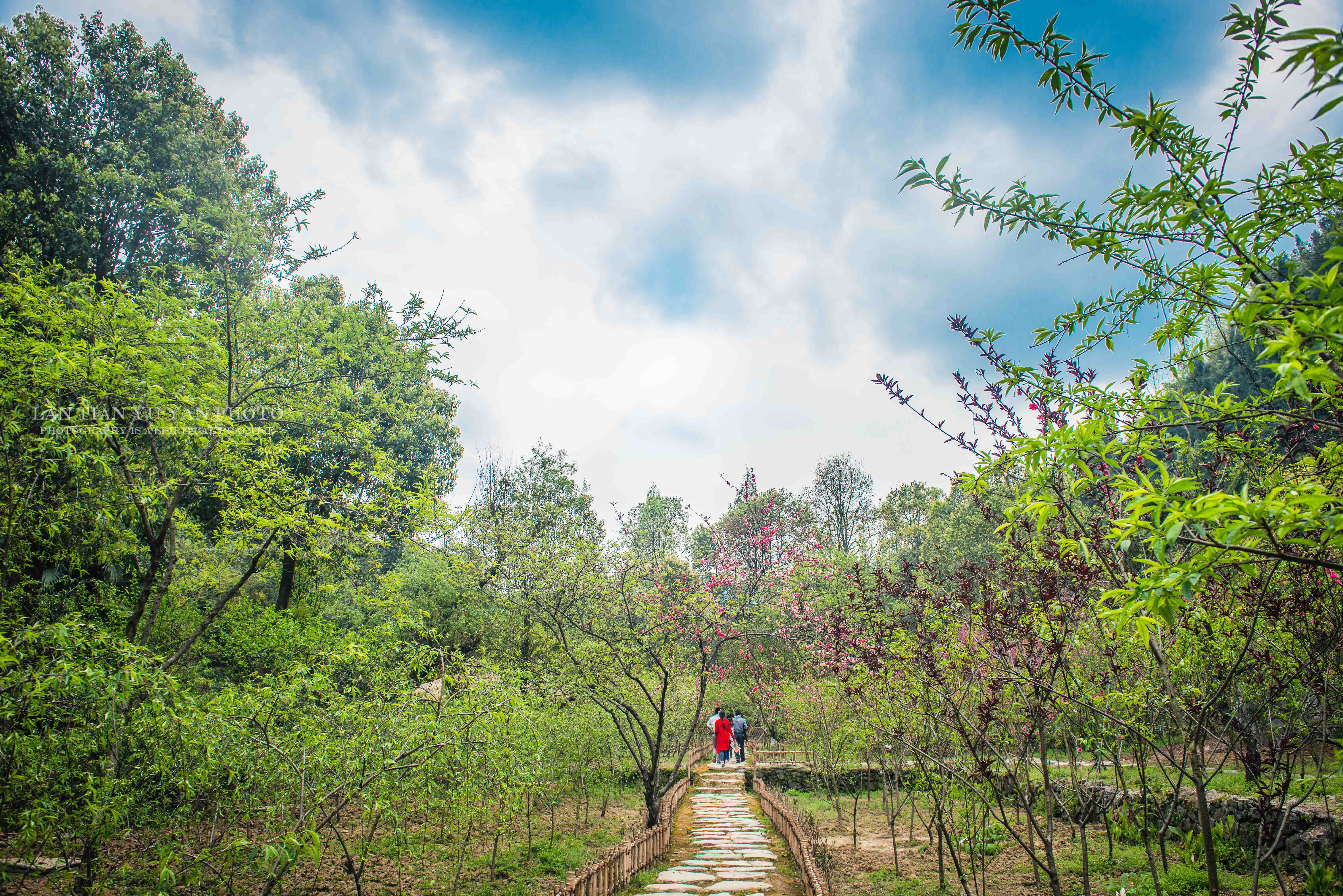 重庆献给世界的桃花源