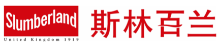 智驿科技官网品牌logo